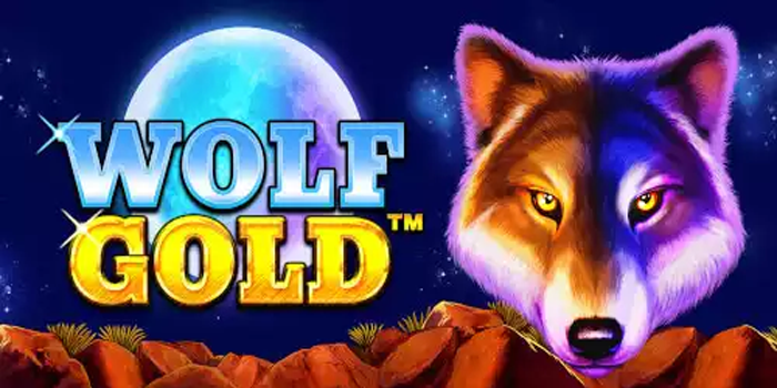 Trik Pola Rtp Gacor Untuk Menang Konsisten Slot Wolf Gold